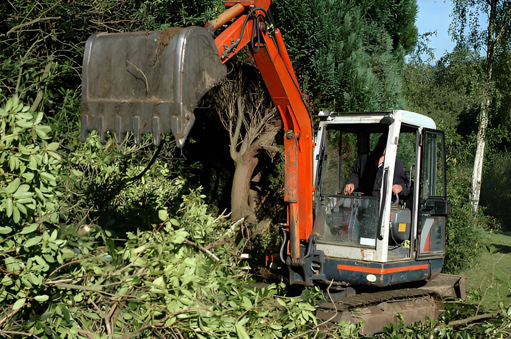 Excavator clearing land for development