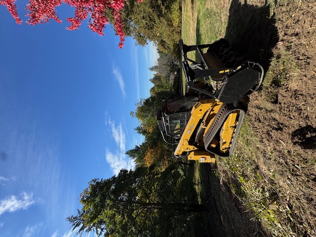 Track loader clearing land for forestry management