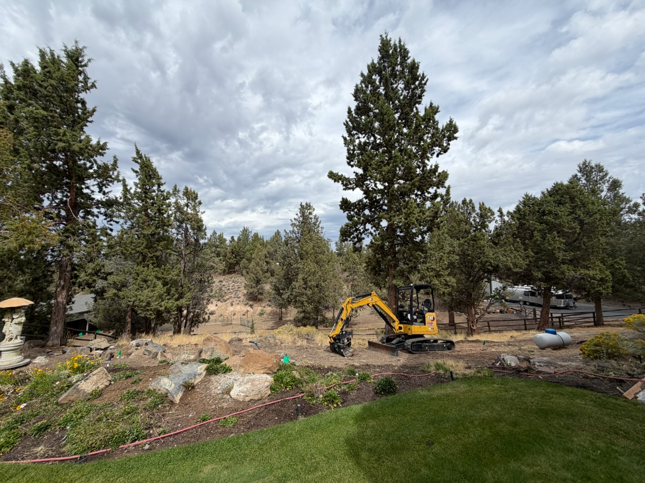 Byrd Land Co. mini excavator clearing brush on an overgrown juniper property